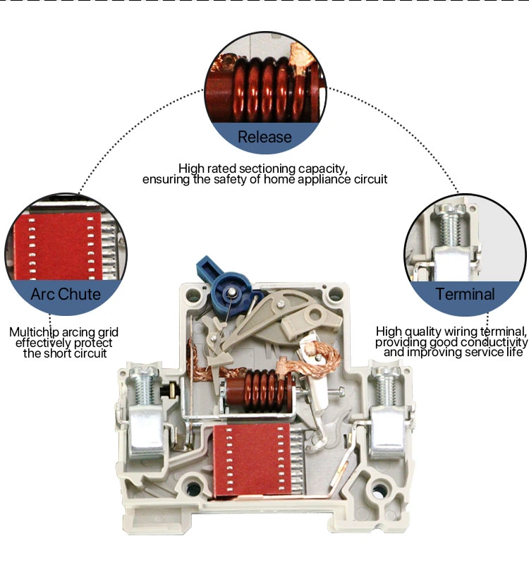 Andeli Circuit Breaker Dz47le-63 3p Miniature Circuit Breaker Price