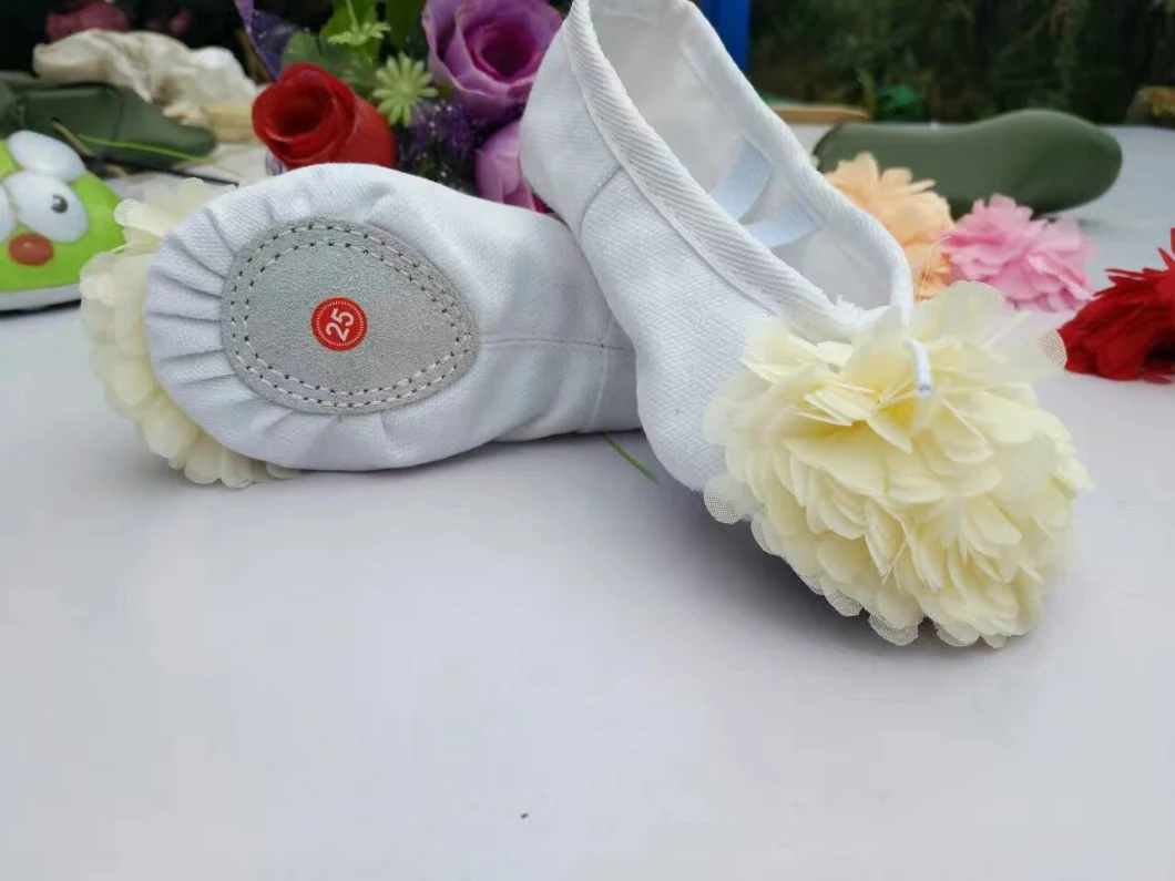 High Quality Dance Shoes Canvas Split Sole Ballet Shoes with Flowers