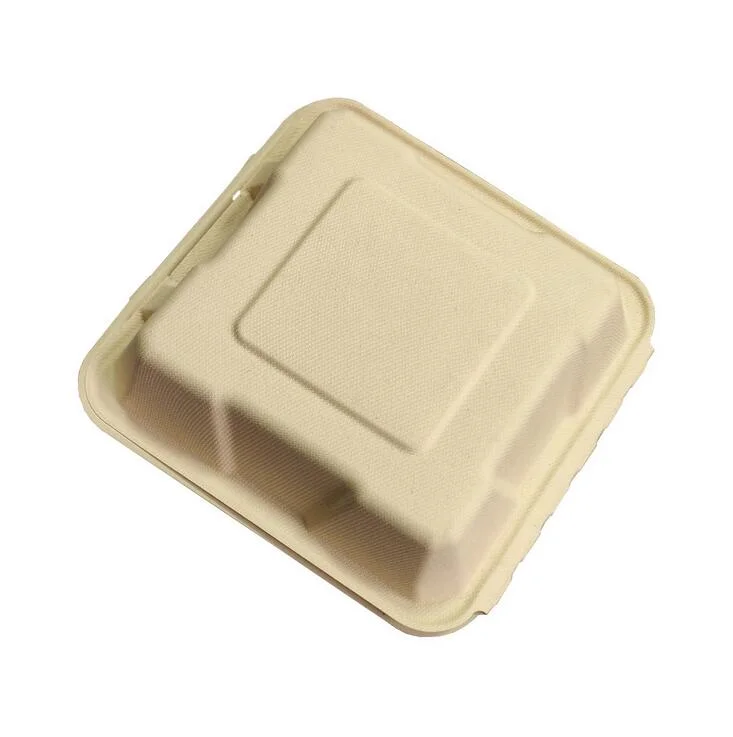 9-Inch Water Resistant, Oil Resistant, High Temperature Resistant Disposable Sugarcane Pulp Meal Box