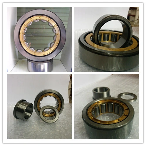 Double Row Cylindrical Roller Bearing Nn3010 Nn3010-M 50X80X23mm