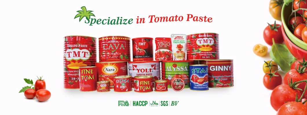 Hotsell Double Concentrate Tomato Paste in Tins and Cans 210g Manufacturer Factory Price