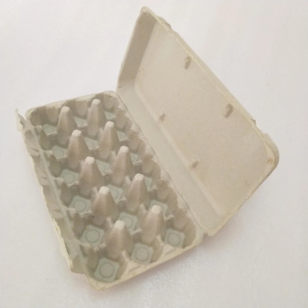 Paper Pulp Egg Carton Biodegradable Pulp Fiber Egg Tray Molded Paper Pulp Packaging Tray