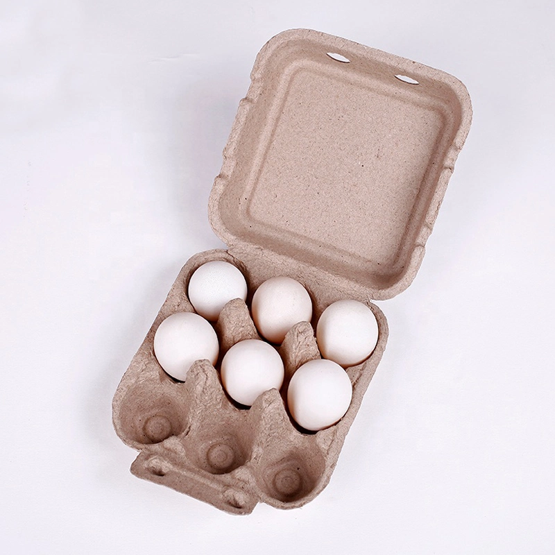 Disposable Molded Pulp Molded Pulp Coffee Cup Carriers Tray Egg Trays Pulp Molded