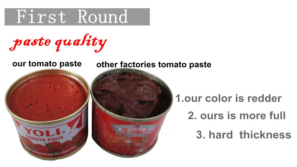 Tomato Paste Production Line 70g Tomato Paste Import Tomato Paste