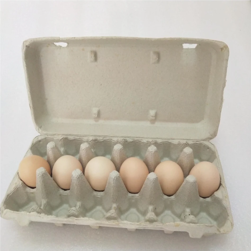 Paper Pulp Egg Carton Biodegradable Pulp Fiber Egg Tray Molded Paper Pulp Packaging Tray