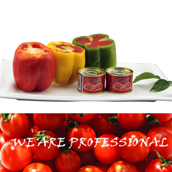 Tomato Paste Production Line 70g Tomato Paste Import Tomato Paste