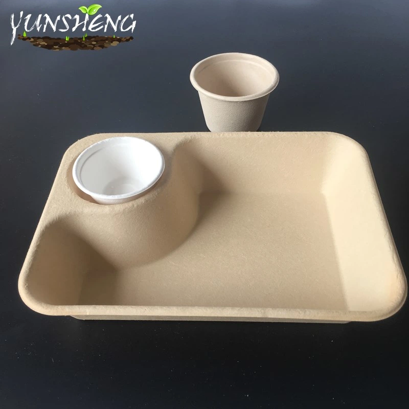 Compostable Disposable Pulp Paper Tray Made by Bamboo Pulp or Sugarcane Pulp