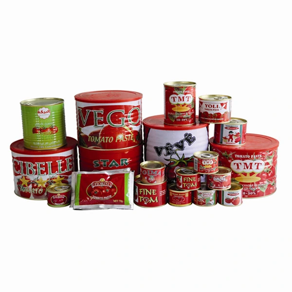 70g Double Concentrate Tomato Paste in Tins and Cans