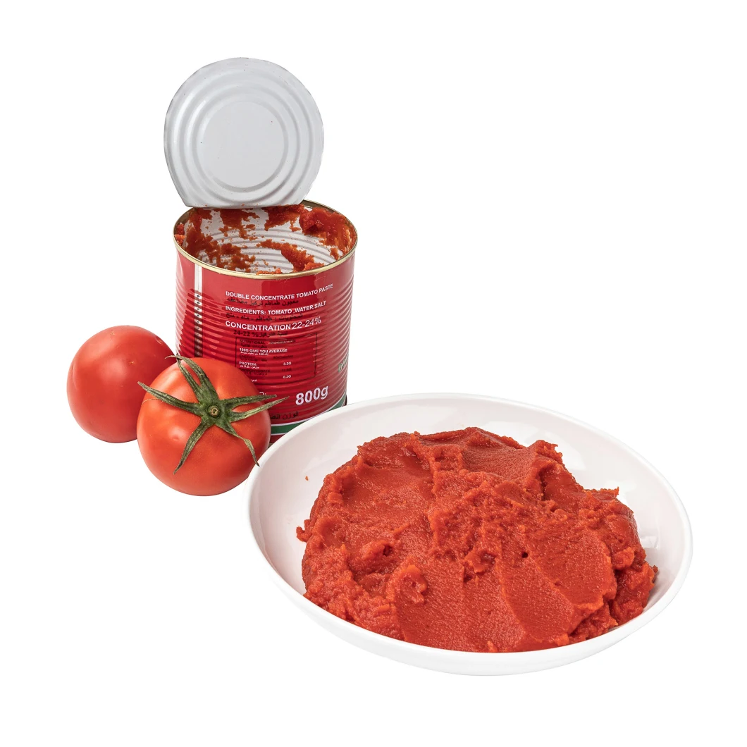 Hot Sale Premium Quantity Canned Fresh Tomato Paste