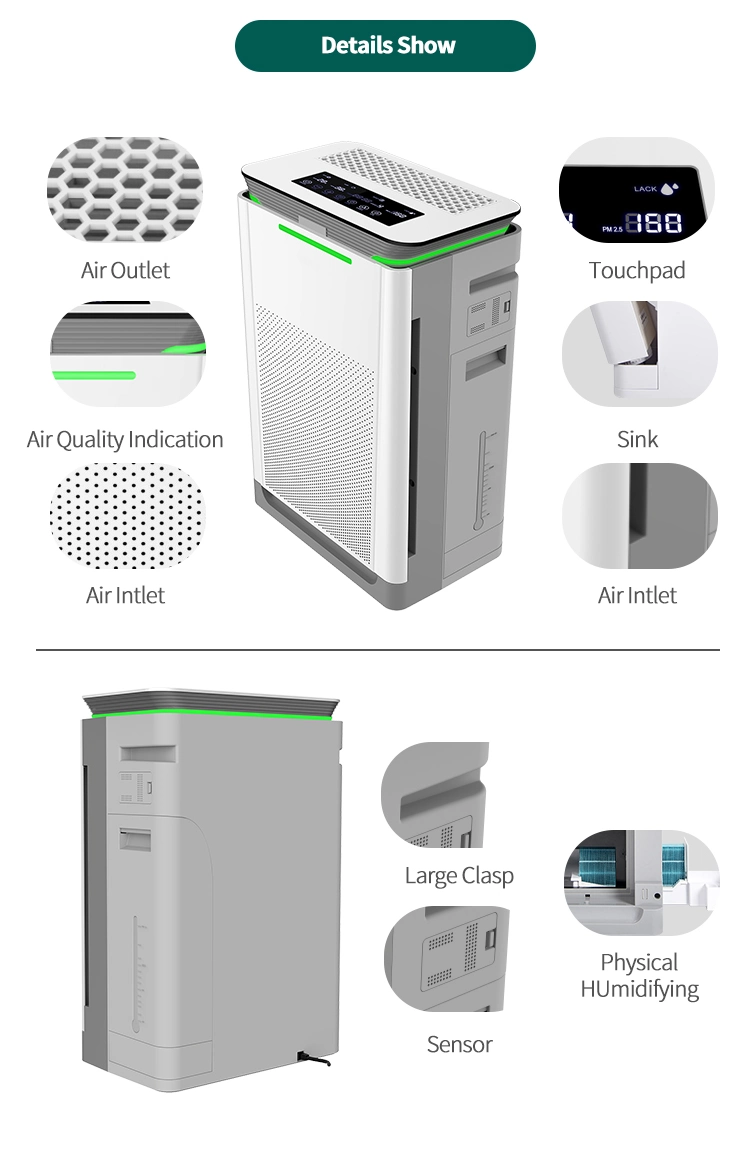 Backnature OEM Manufacturer Low Noise Intelligent Negative Ion HEPA Filter Ionizer Air Purifier Home