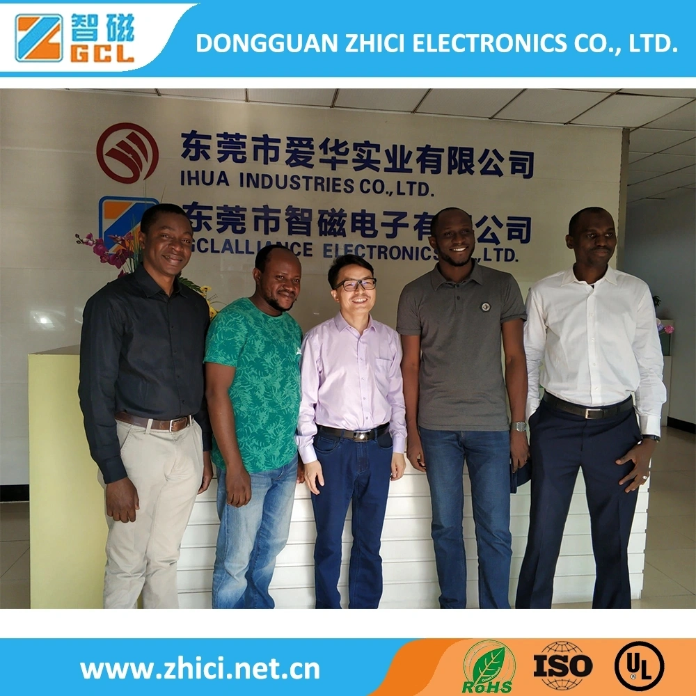 T Type Line Filter Toroid Core EMC Filter Inductor Small Power Common Mode Choke Inductor