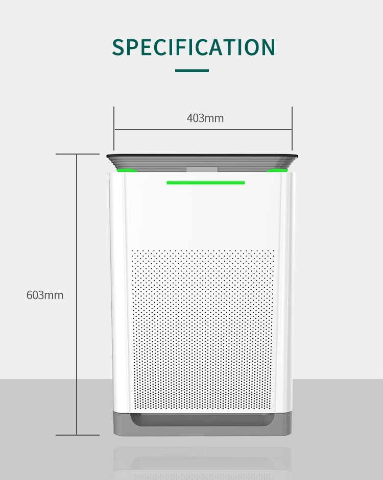 Backnature OEM Manufacturer Low Noise Intelligent Negative Ion HEPA Filter Ionizer Air Purifier Home