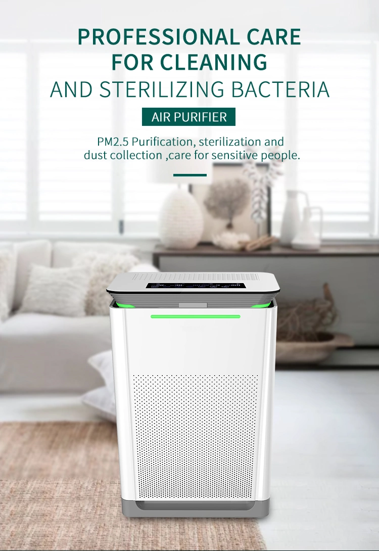 Backnature OEM Manufacturer Low Noise Intelligent Negative Ion HEPA Filter Ionizer Air Purifier Home