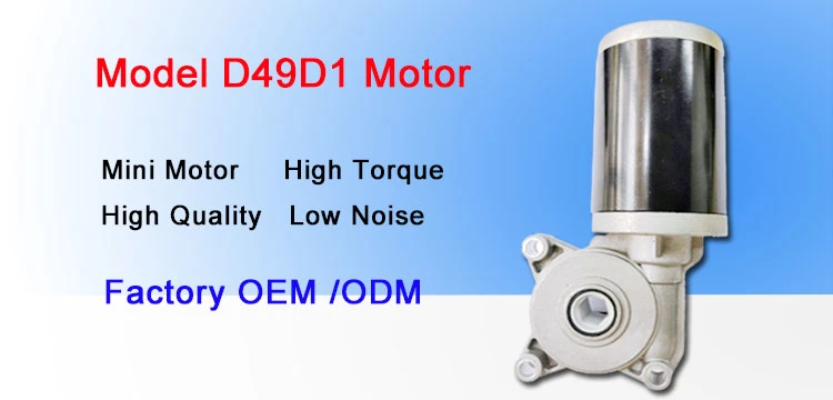 Low Noise 12V 24V DC Gear Motor for Window Regulator Motor