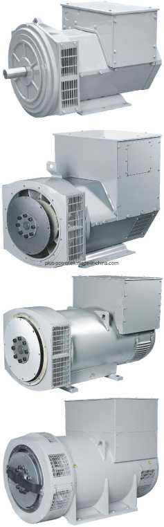 St 10.8kw Brush Power AC Dynamo Power Generator Alternator