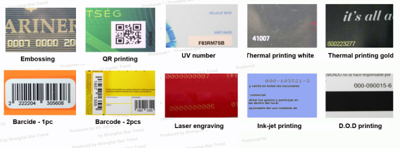 Plastic Hybrid Magnetic Strip and RFID Chip Card for Hybrid-System