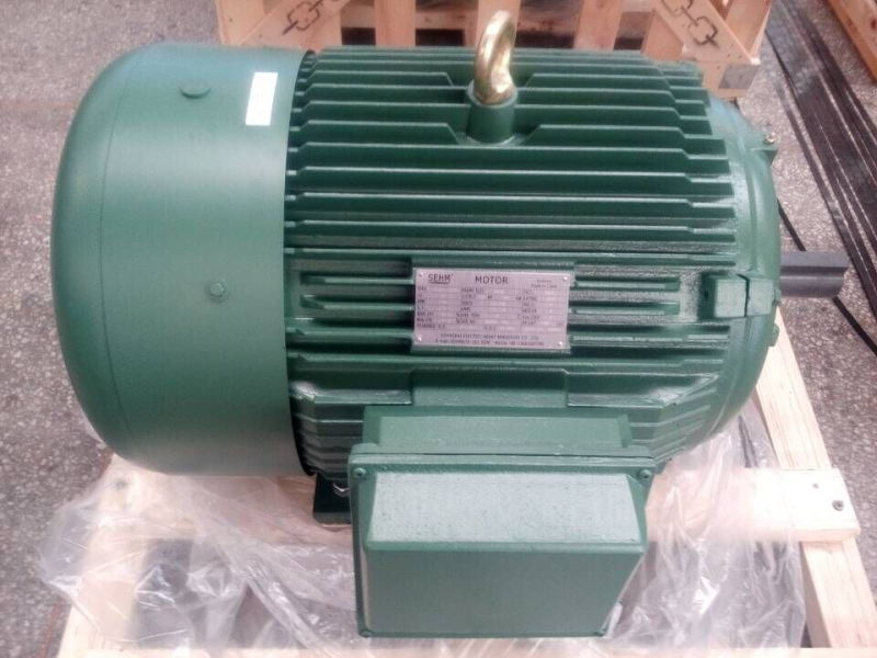 AC Electric Motor and Three Phases Asynchronous AC Motor
