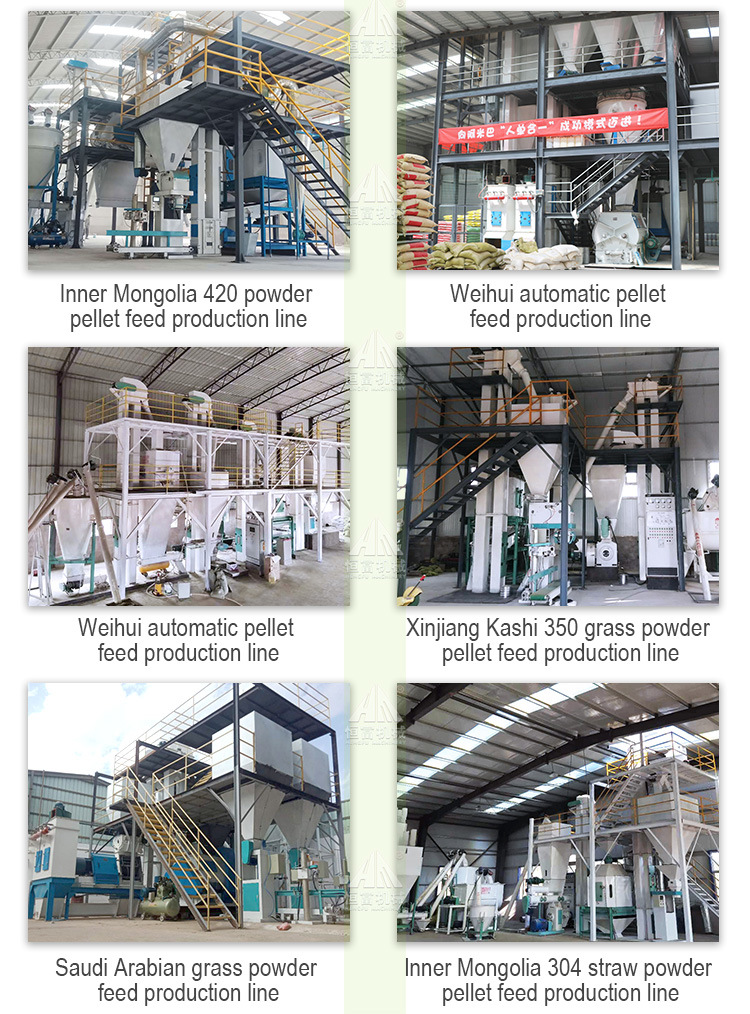Completed Poultry Chicken Feed Pellet Production Line
