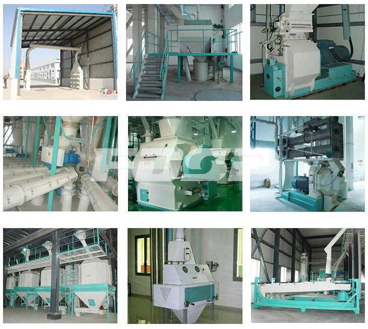 10tph Complete Chicken Pellet Feed Production Line