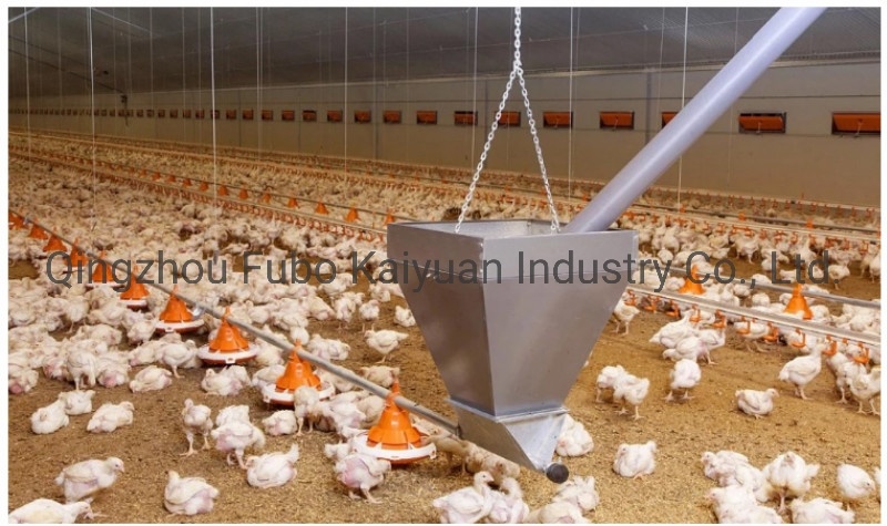 Complete Chicken Feeding System Water Line and Feeding Line