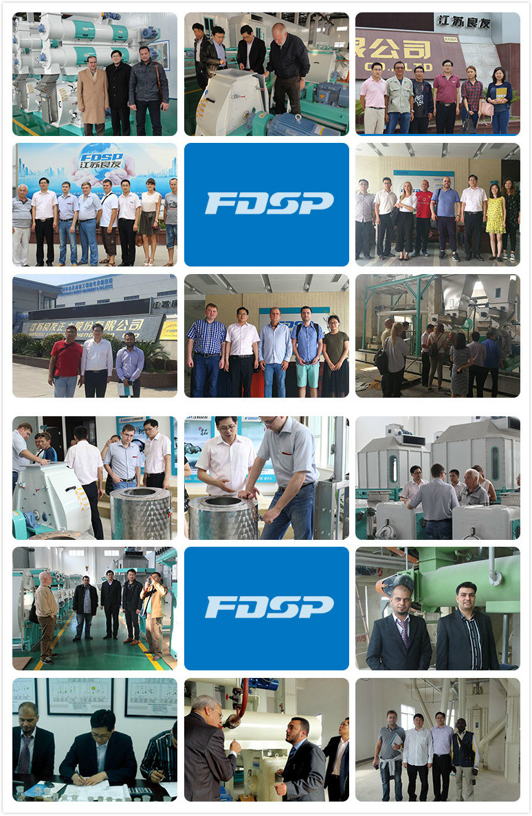 China Factory Complete Animal Feed Pellet Production Line