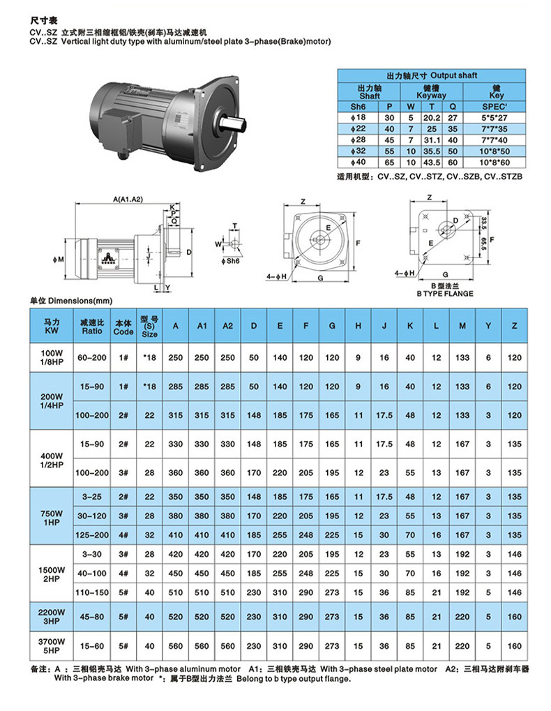 Single-Phase AC Gear Motor with Centrifugal Switch