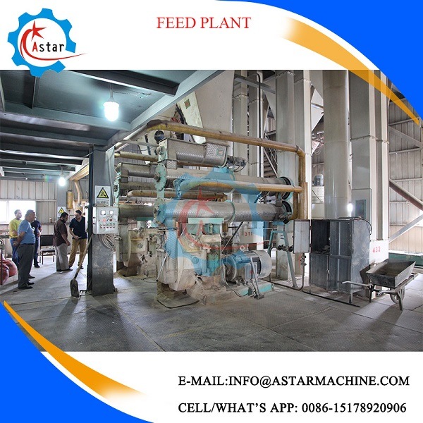 Complete Animal Feed Line Project Poultry Feed Plant for Sale