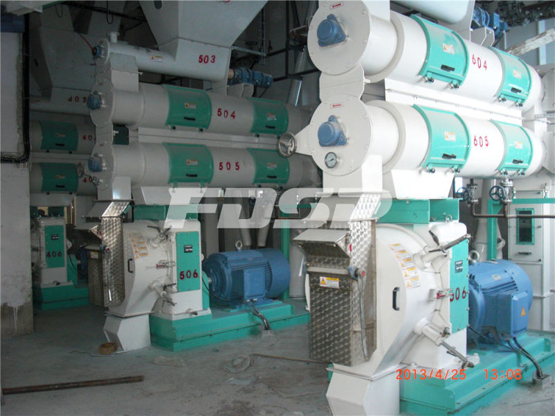 10t/H Complete Automatic Cattle/Chicken Feed Pellet Production Line