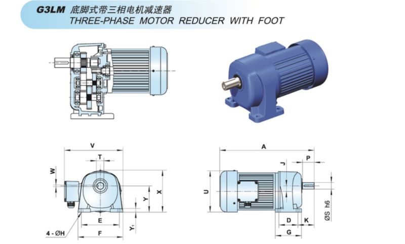 G3 IEC Input Type Reducer with Foot and Flange