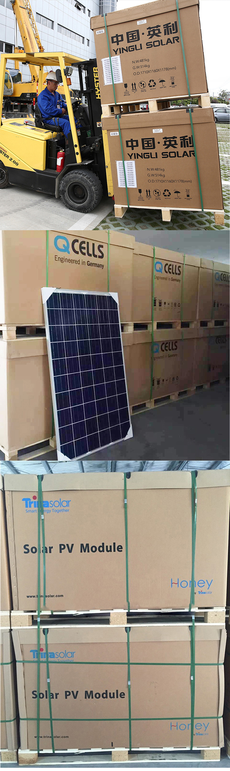 Yangtze Solar Photovoltaic PV Panel Modules 360wp