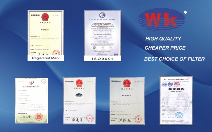 Weike Paper 10 Micron Oil Filter/Filter Cartridge/Industrial Filter/Filter Element/Glass Fiber Filter/Filter (D411C10)