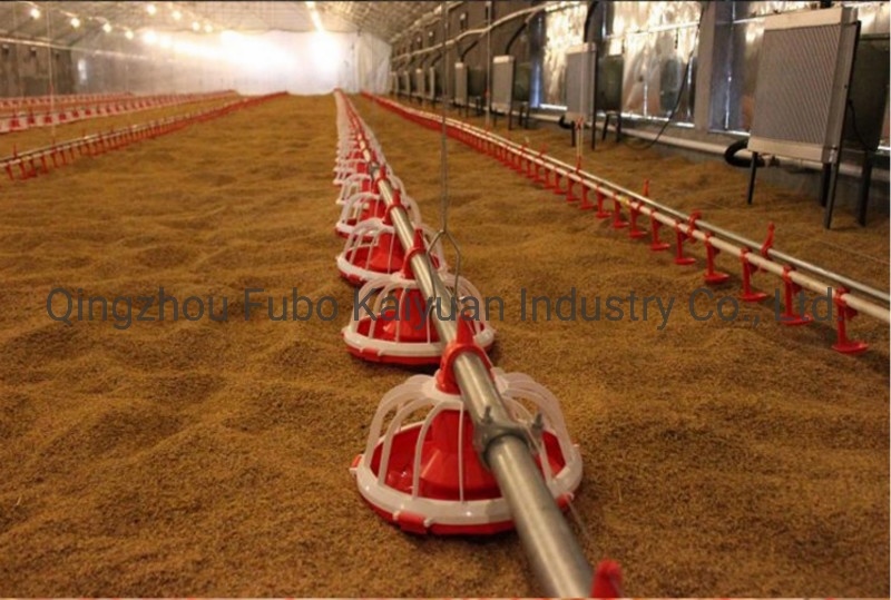 Complete Chicken Feeding System Water Line and Feeding Line