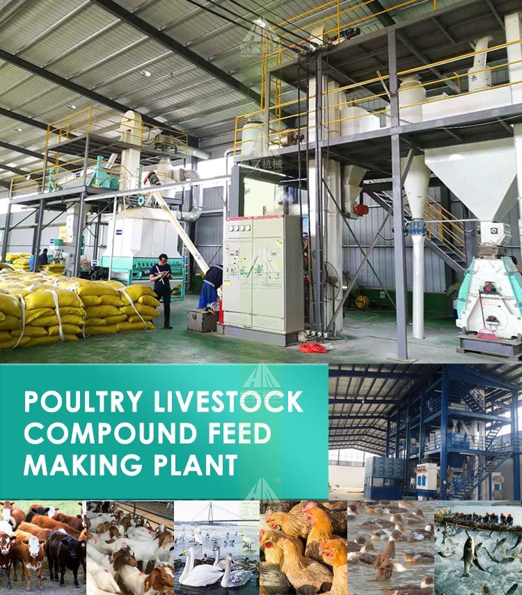 Poultry Animal Feed Pellet Production Line for Processing Feed