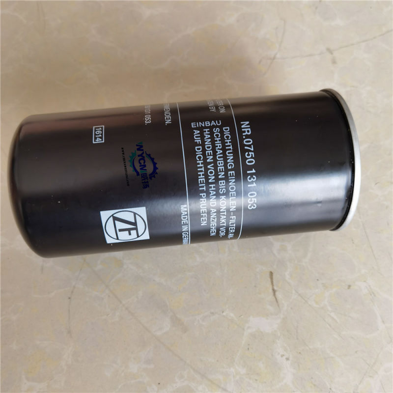 Zf 4wg200 Transmission Filter, 0750131053 Hydraulic Oil Filter for Sale