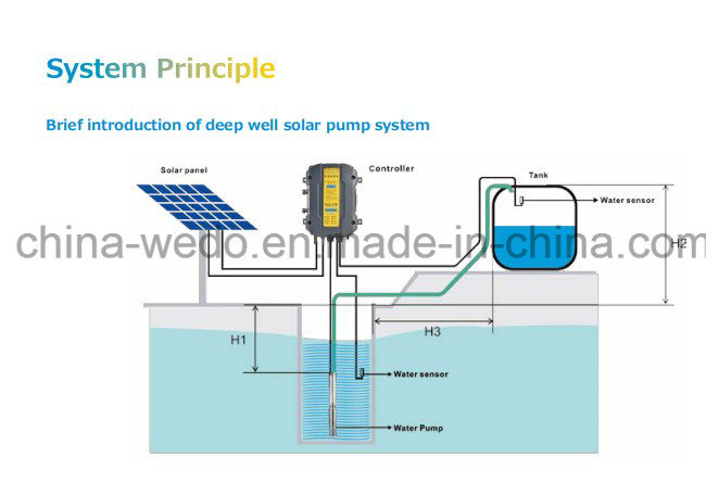 Plastic Impeller Stainless Steel Brushless DC Solar Water Pump