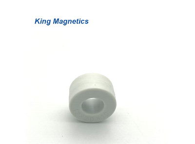 Kmn252010 High Performance Toroidal Nanocrystalline Soft Magnetic Core for EMI Common Mode Choke