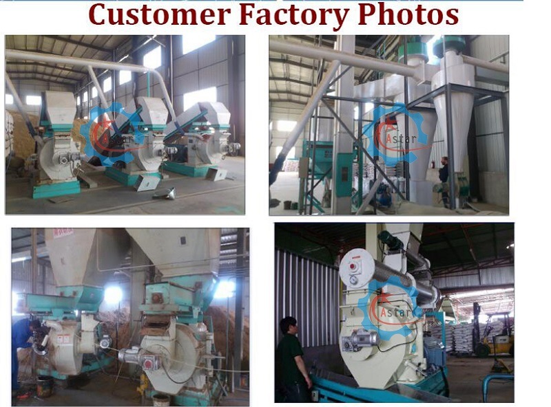 Highly Output Pellet Mill for Cardboard Sawdust