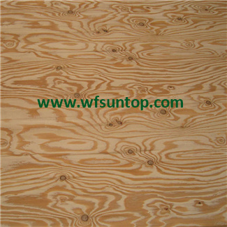 Birch Plywood 1220*2440*3mm 6mm 9mm 12mm15mm 18mm Cc/Cc CC/DD