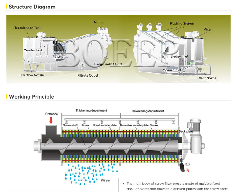 Automatic Screw Sludge Dehydrator Belt Filter Press for Wastewater Treatment