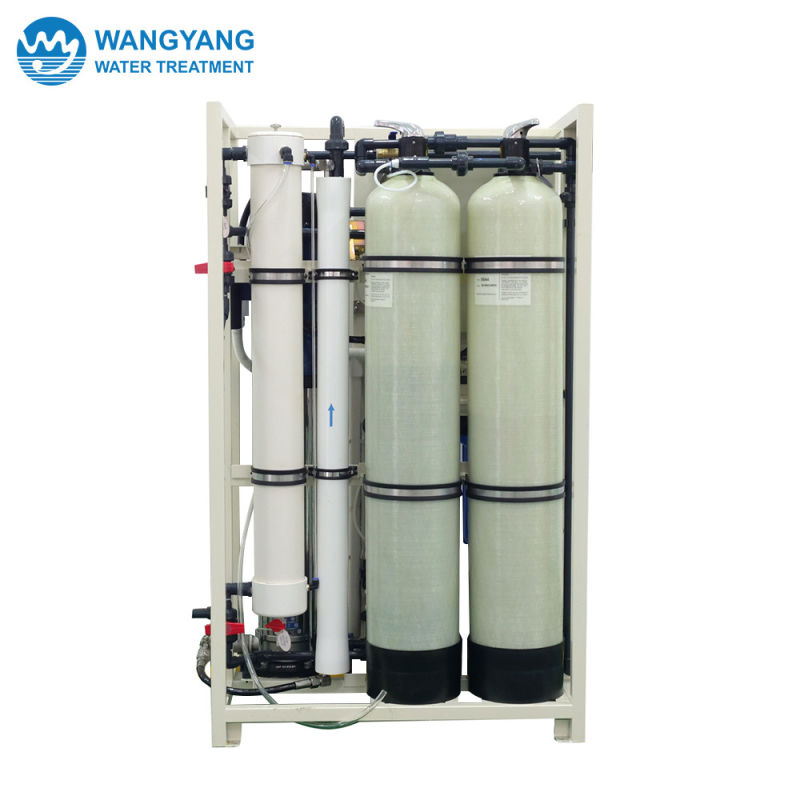 Brackish Water Filter Plant 1000L Mini Small RO Salt Water Electrolysis Purification System to Drinking