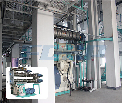 Automatic Poultry and Aqua Feed Pellet Mill Production Line