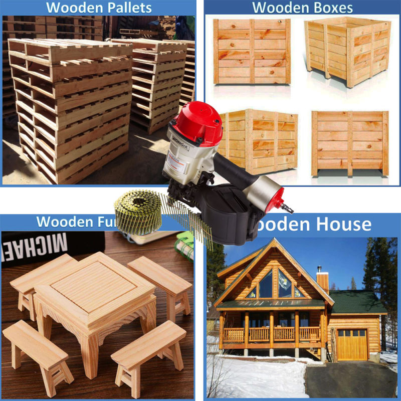 Wooden Frame House Fence Coil Nails Supplier
