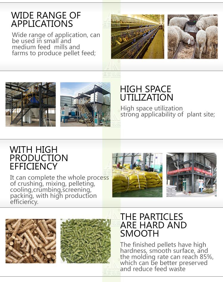 High Efficiency Animal Poultry Chicken Feed Pellet Production Line