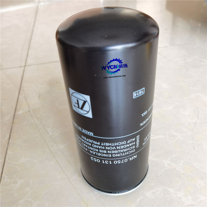 Zf 4wg200 Transmission Filter, 0750131053 Hydraulic Oil Filter for Sale