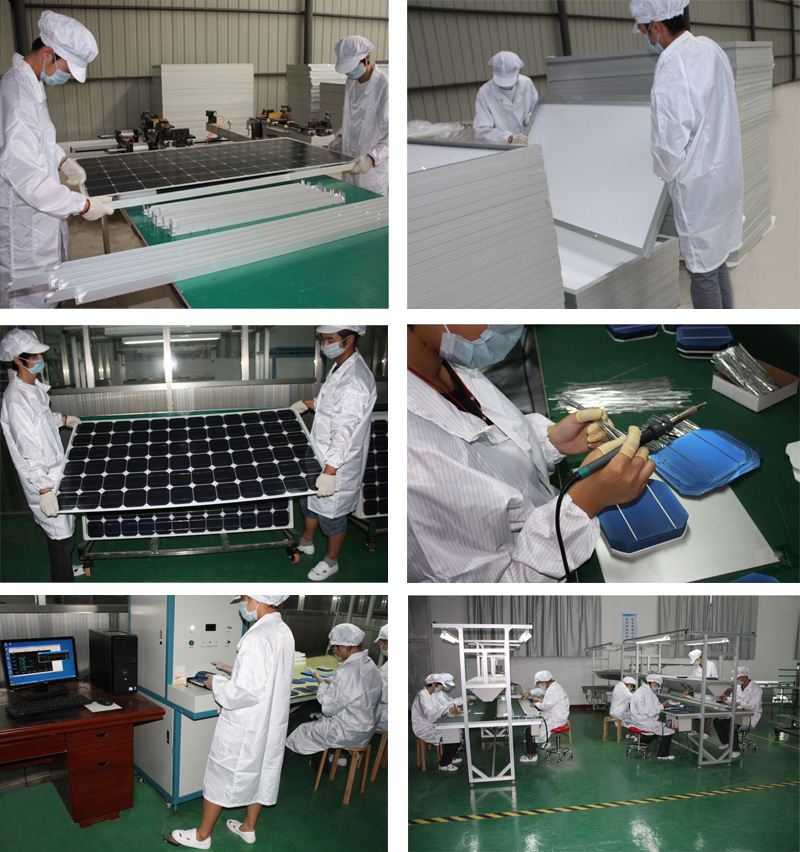 250W Solar Power Panel Solar Products Photovoltaic Module