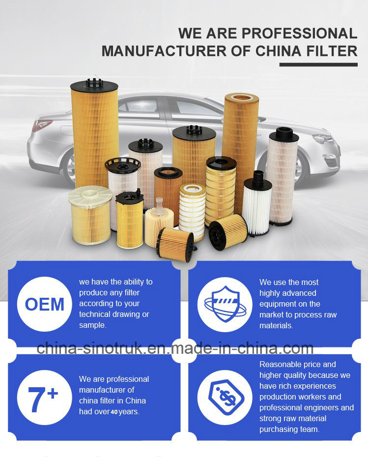 The Factory Supply High Quality Diesel Fuel Filter H213W Oil Filter for Hengst