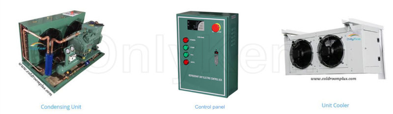 Single Phase Motor Chiller Room for Vegetable and Meat