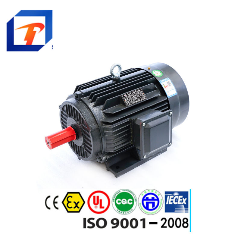 AC Electric Motor Electric Engine AC Induction Motor 200kw for Hydro Turbo Generator