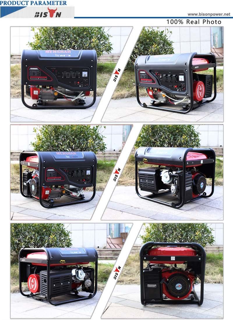 Bison (China) BS6500L 5kw Actual Output Power Strong Frame New Type 5kVA Single Phase Generator