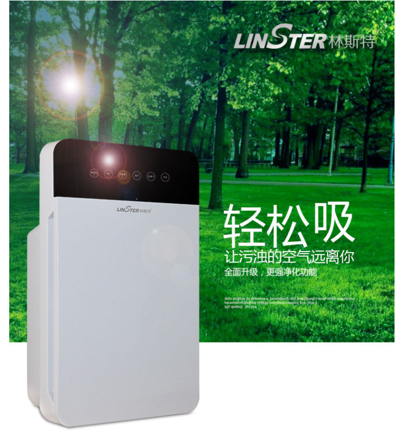 Guangdong Carbon Filter 220V Electric Air Purifier
